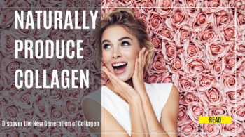 activated collagen